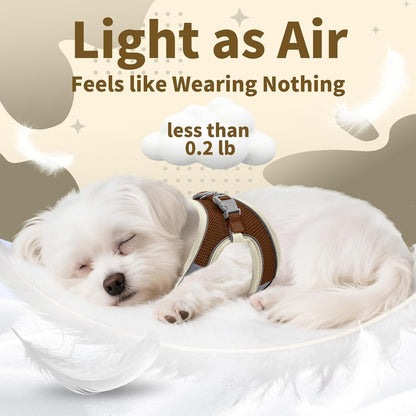 AIITLE No Pull Dog Harness and Leash Set, Step in Adjustable Dog Harness with Padded Vest for All Weather, Dog Leash with Soft Padded Handle, Easy to Put on Small and Medium Dogs Beige S8