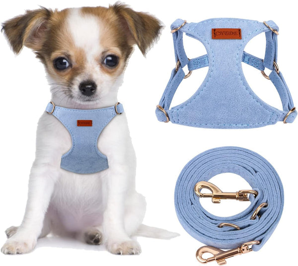 CHEDE No Pull Puppy Harness and Multifunction Dog Leash Set- 8 Colors Soft Adjustable No Choke Escape Proof Cute,Lightweight Pet Vest Harness for Small and Medium Dog…17