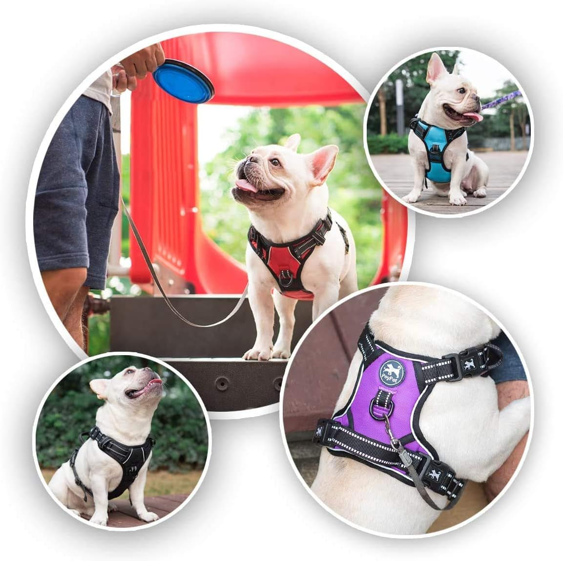 poypet-no-pull-dog-harness-with-4-snap-buckles-reflective-with-front-back-2-leash-hooks-and-an-easy-control-handle-no-need-go-over-dog-s-headmint-blue-m