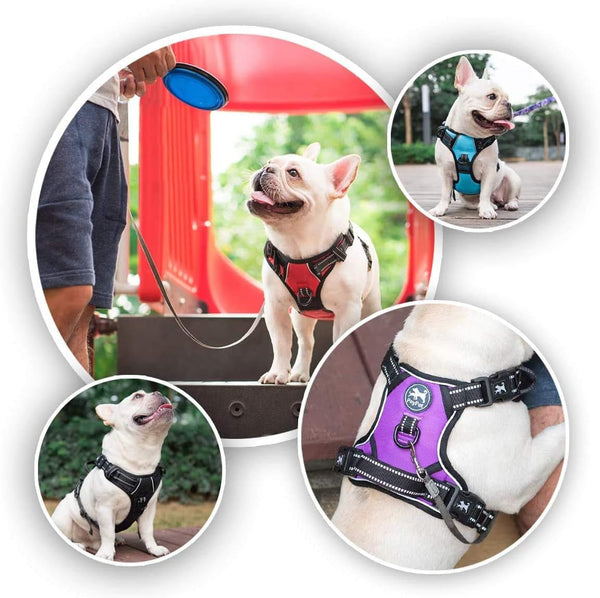 Poypet No Pull Dog Harness with 4 Snap Buckles, Reflective with Front & Back 2 Leash Hooks and an Easy Control Handle [NO Need Go over Dog’S Head](Mint Blue,M)6