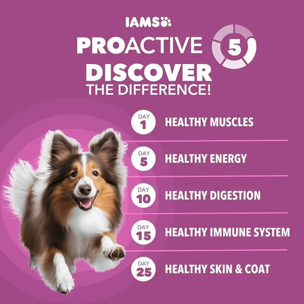 IAMS Proactive Health Healthy Aging Dry Dog Food, Chicken, 29.1 Lb | Veterinarian-Recommended, DHA Gold for Mental & Visual Sharpness, Vitamin E & Beta Carotene, Real Chicken #1 Ingredient2
