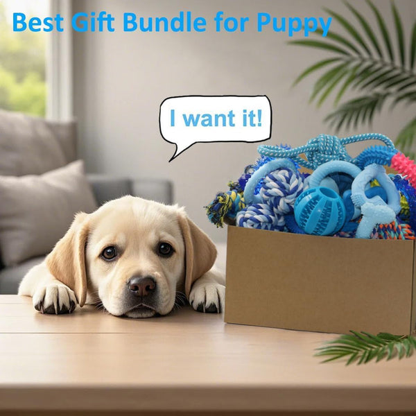 Beiker 20 Pack Puppy Chew Toys - Blue Dog Teething Toys for Puppies, Puppy Teething Rings and Ropes, Rubber Toy Bundle for Small Dogs, Cute Interactive Dog Balls for Small Breed6