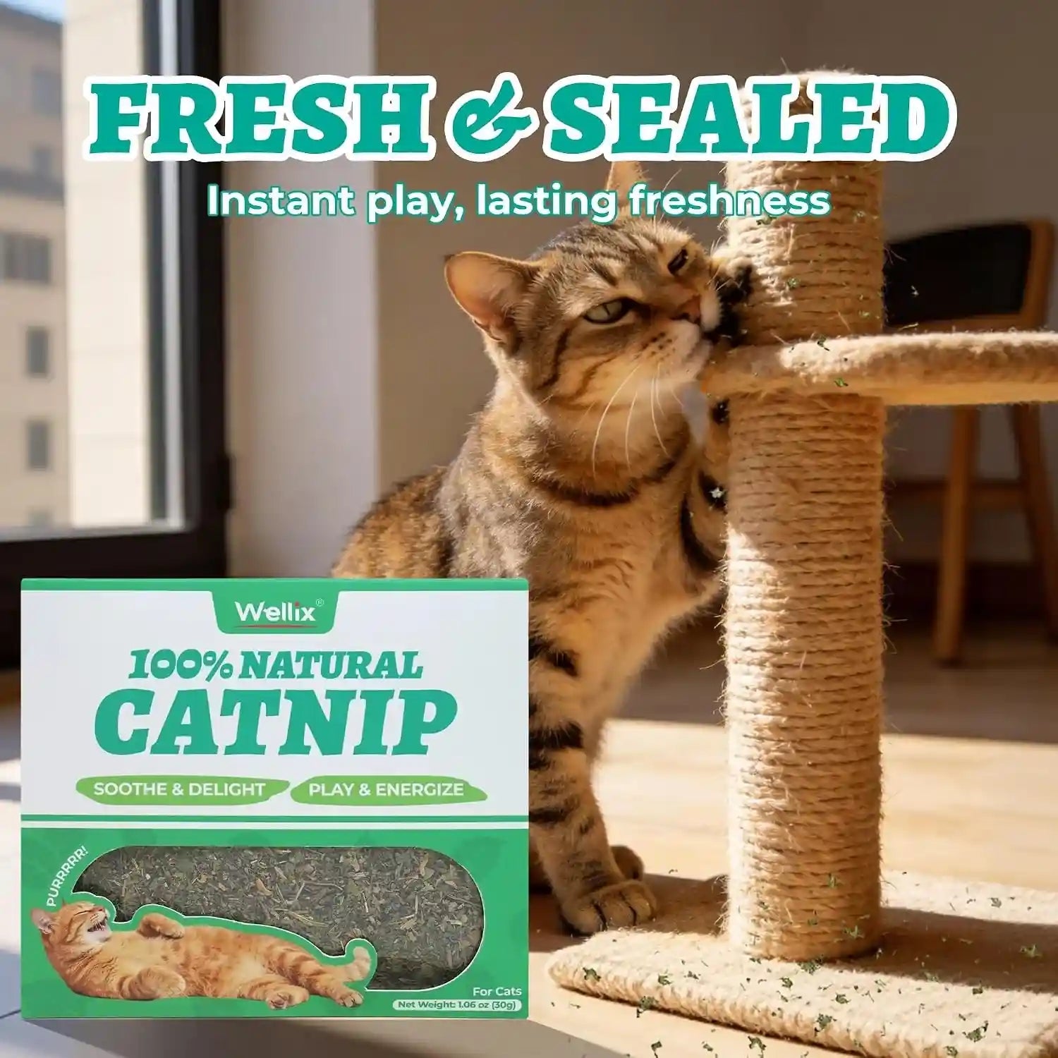 wellix-fresh-dried-catnip-for-cats-used-as-cat-nip-treats-1-06oz-natural-dried-catnip-leaves-flowers-stems-fresh-aroma-non-addtictive