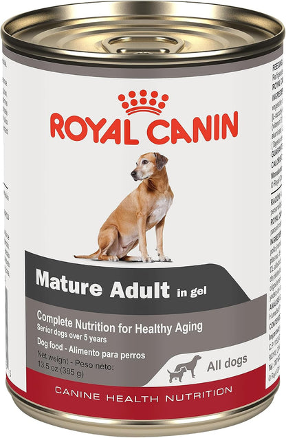 ROYAL CANIN Canine Health Nutrition Mature Mature in Gel Dog Food, 13.5 Oz (Pack of 12)1
