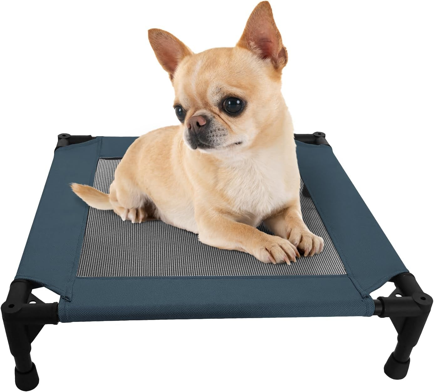 pozico-elevated-pet-bed-with-breathable-mesh-for-small-cat-and-dog-raised-cooling-pet-cot-for-puppy-and-kitty-18-9x18-9-inch-black-bed