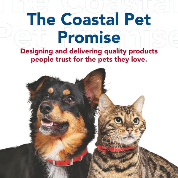Coastal Pet Walk Right Front-Connect No-Pull Padded Dog Harness - Adjustable & Comfortable Dog Harness - Small & Large Breed Fit - Quality Pet Supplies - Black, LRG (26"-38")9
