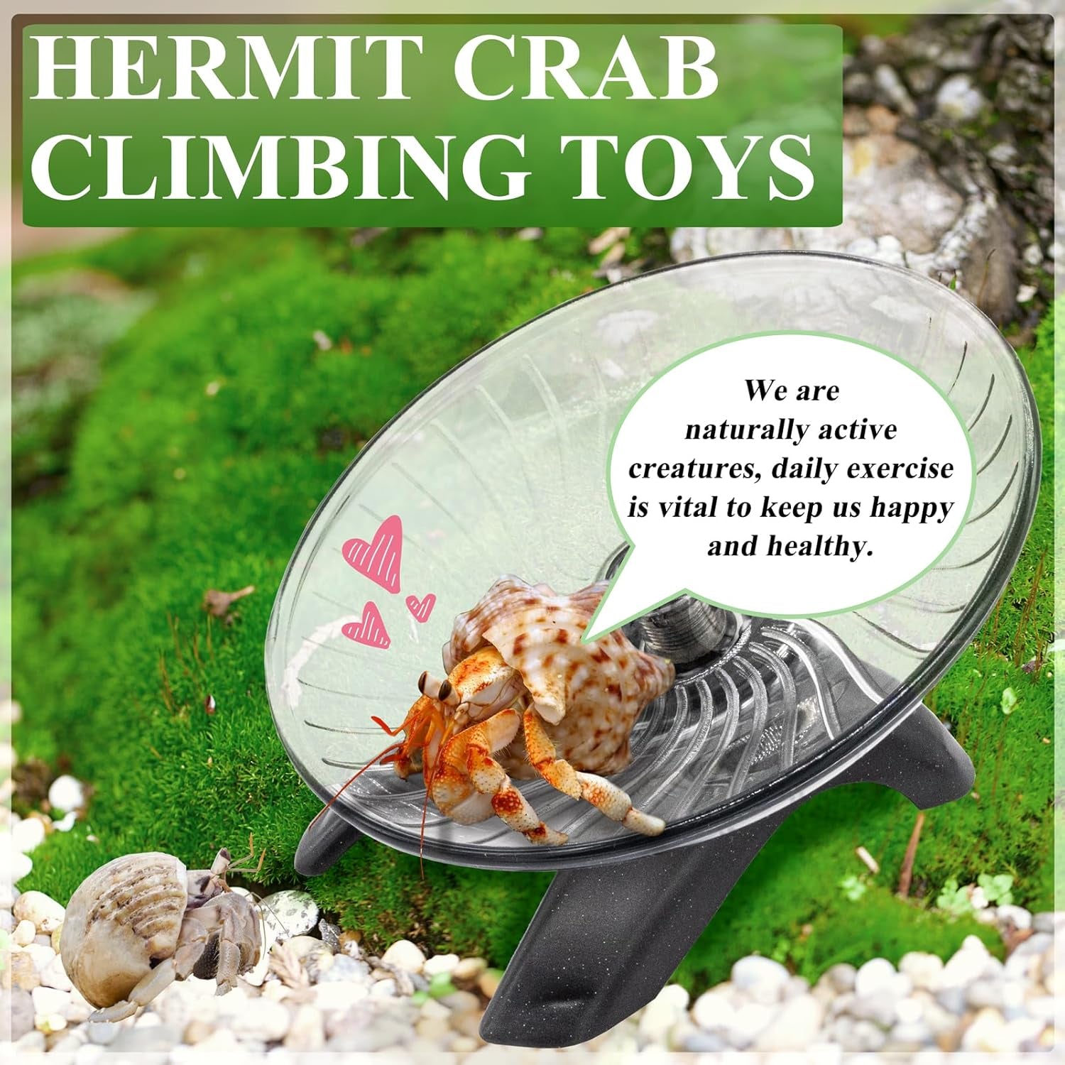 hermit-crab-exercise-wheel-silent-running-wheel-for-crab-tank-accessories-small-animal-wheel-for-hamster-gerbils-hedgehogs