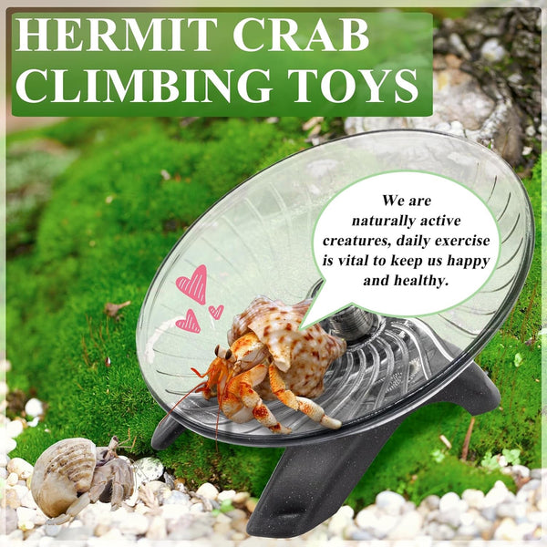 Hermit Crab Exercise Wheel - Silent Running Wheel for Crab Tank Accessories - Small Animal Wheel for Hamster Gerbils Hedgehogs6