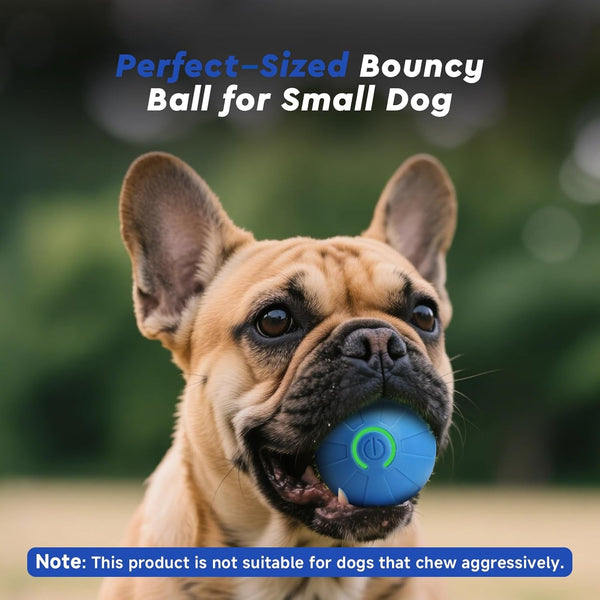 Interactive Small Dog Toy Ball, 2 Inch Smart Jumping Ball for Puppy/Small Dogs, Activated Automatic Bouncing Moving Vibrating, Dog Toy for Small Dogs to Keep Them Busy（Sky Blue）3