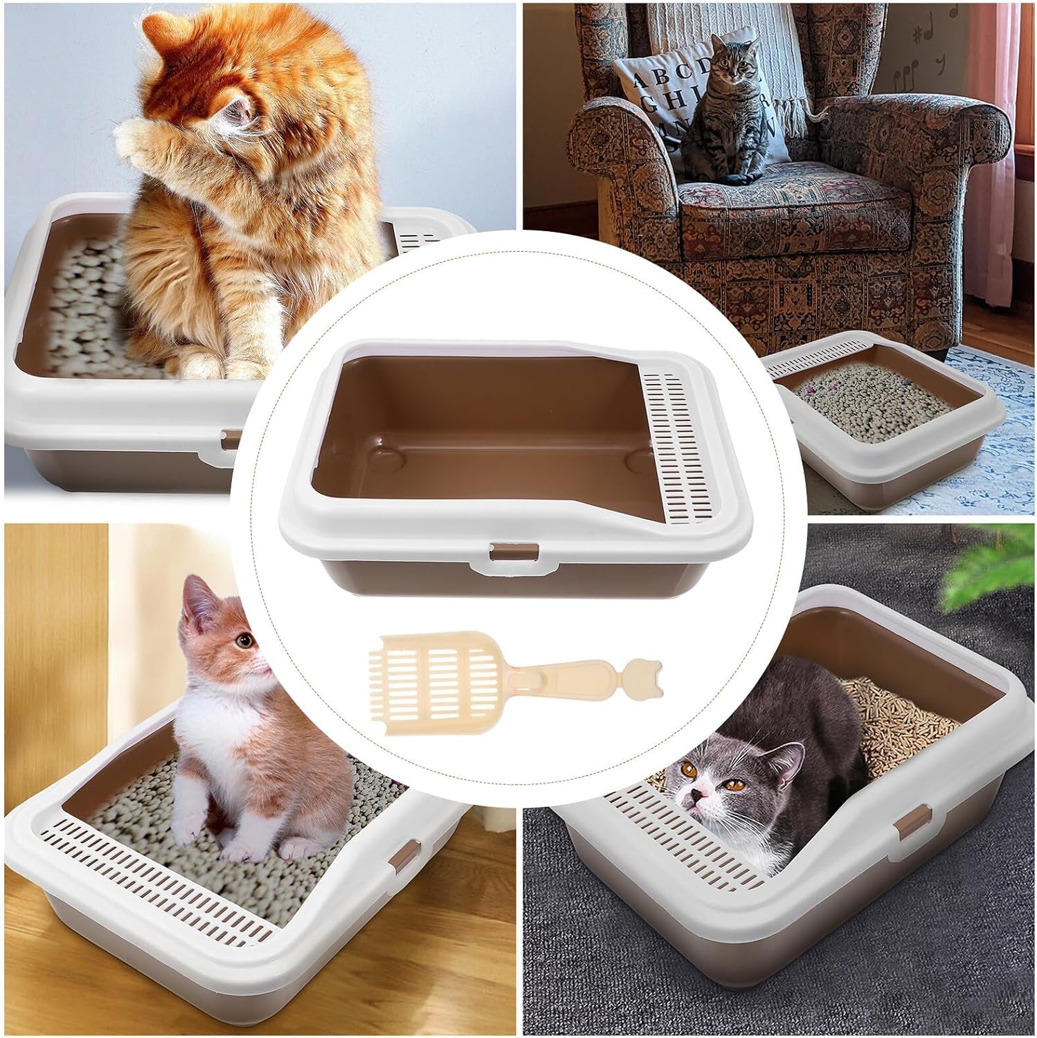 milisten-cat-litter-box-with-scoop-splash-proof-kitten-litter-pan-medium-square-plastic-cat-toilet-and-pet-housebreaking