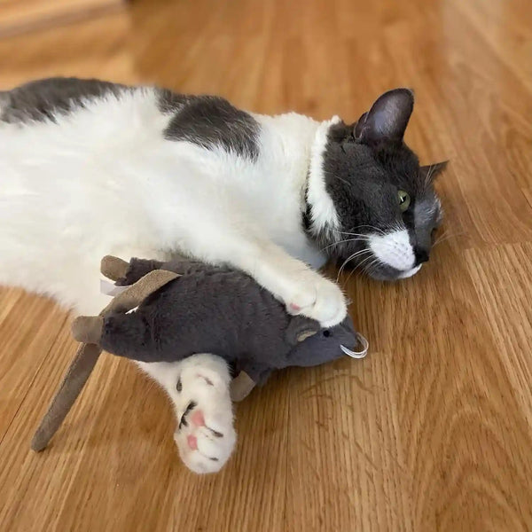 SPOT Big Mouse Bertha Cat Toy with Catnip – Lifelike Plush Mouse, Crinkle Sound, Large 7In Size, for Cuddling, Chasing, Playing – Assorted Colors5
