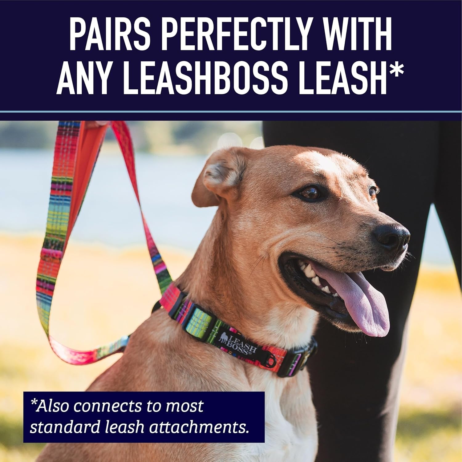 leash-boss-martingale-collar-for-dogs-steel-chain-reflective-nylon-dog-collar-for-large-dogs-medium-and-small-dogs-no-pull-pet-training-collar-small