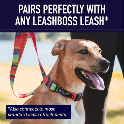 Leash Boss Martingale Collar for Dogs - Steel Chain | Reflective Nylon Dog Collar for Large Dogs, Medium and Small Dogs | No Pull Pet Training Collar Small9