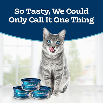 Blue Buffalo Tastefuls Tender Morsels Chicken Entrée Adult Wet Cat Food in Savory Sauce, Natural Ingredients Enhanced with Vitamins, Minerals & Other Nutrients, 3-Oz. Cans (24 Count)2