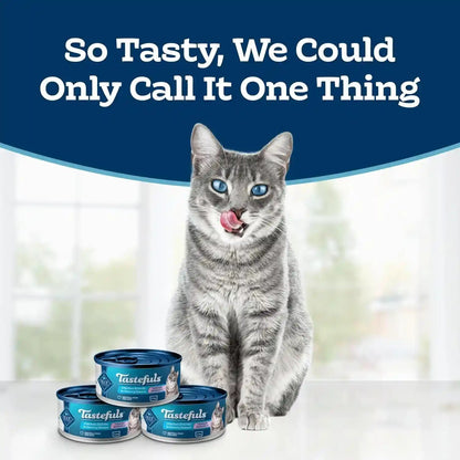 Blue Buffalo Tastefuls Natural Tender Morsels Wet Cat Food, Chicken Entrée 5.5-Oz Cans (Pack of 24)2