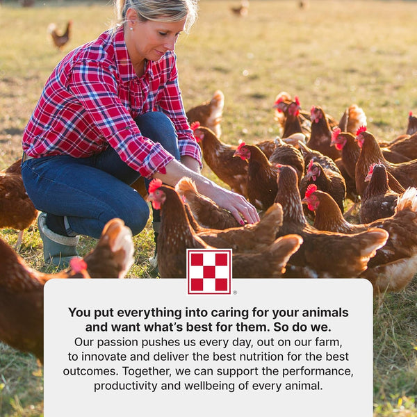 Purina Start & Grow | Nutritionally Complete Medicated Chick Feed Crumbles | 25 Pound (25 Lb.) Bag9