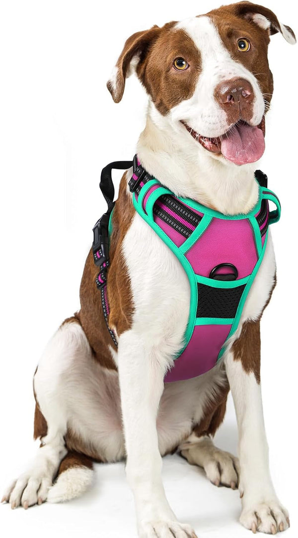 Rabbitgoo Dog Harness, No Pull for Large Dogs with 2 Leash Clips, Pet Vest | No Choke with Handle, Adjustable Soft Padded, Reflective, Easy Control for Walking, Black, Large35