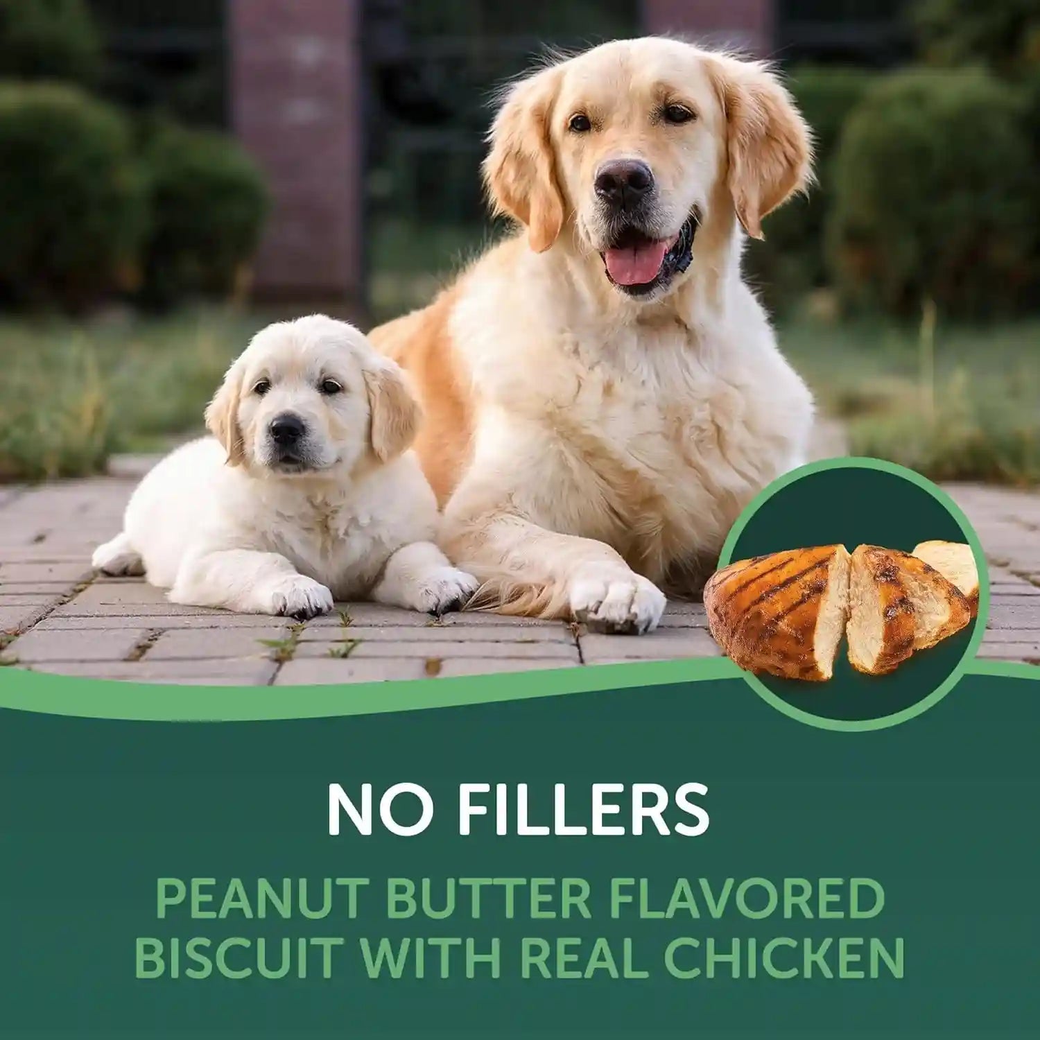 healthfuls-chicken-peanut-butter-healthy-dog-treats-high-protein-low-fat-biscuit-wraps-with-real-peanut-butter-16-oz