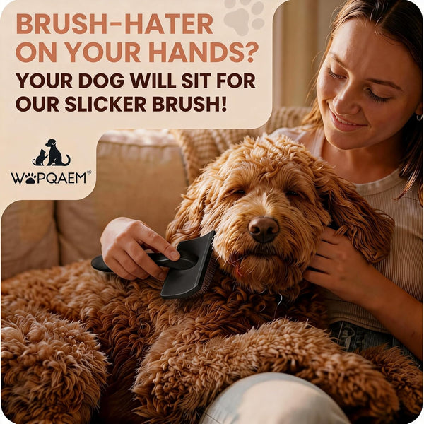 Wooden Long Pin Slicker Brush for Dogs, Doodles, Poodles, Long Hair | Grooming, Detangling, and Fluffing for Wavy and Curly Hair—Designed for Heavy, Thick Coats to Prevent Matting at Home7