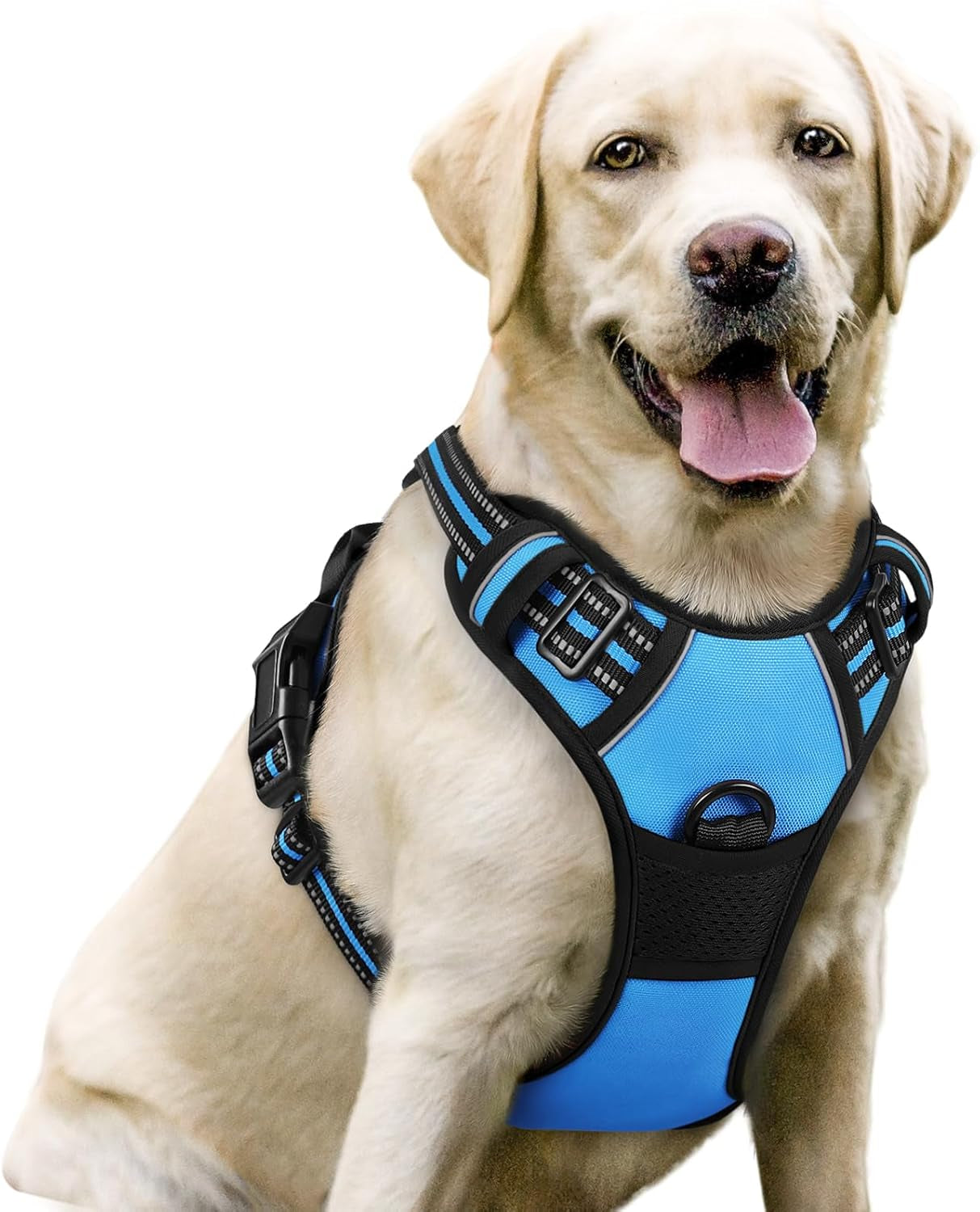 rabbitgoo-dog-harness-no-pull-for-large-dogs-with-2-leash-clips-pet-vest-no-choke-with-handle-adjustable-soft-padded-reflective-easy-control-for-walking-black-large