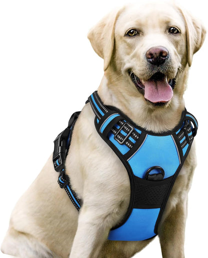 Rabbitgoo Dog Harness, No Pull for Large Dogs with 2 Leash Clips, Pet Vest | No Choke with Handle, Adjustable Soft Padded, Reflective, Easy Control for Walking, Black, Large101
