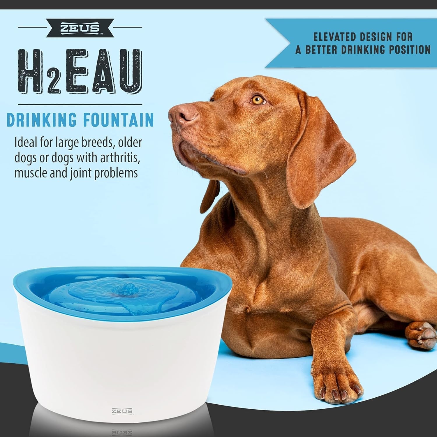 zeus-fresh-clear-elevated-dog-and-cat-water-dispenser-large-drinking-water-fountain-with-purifying-filter-6l-capacity-1-count-pack-of-1-large-drinking-water-fountain-with-purifying-filte