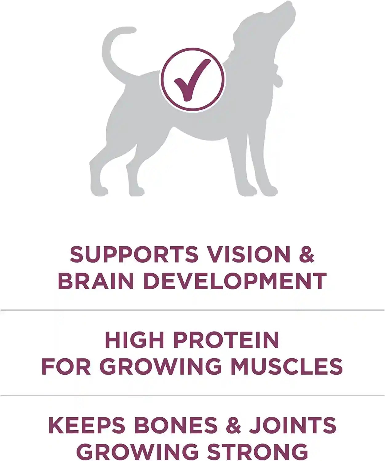 purina-one-plus-healthy-puppy-formula-high-protein-natural-dry-puppy-food-with-added-vitamins-minerals-and-nutrients-8-lb-bag