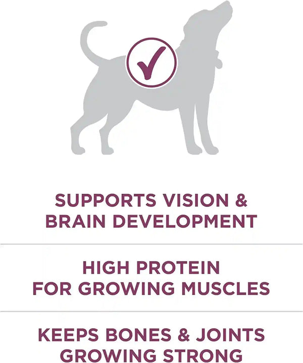 Purina ONE plus Healthy Puppy Formula High Protein Natural Dry Puppy Food with Added Vitamins, Minerals and Nutrients - 8 Lb. Bag5