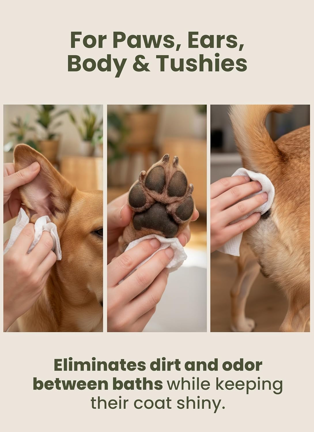 pogi-s-dog-grooming-wipes-hypoallergenic-pet-wipes-for-paws-body-butt-cleaning-hydrating-fragrance-free-100-count