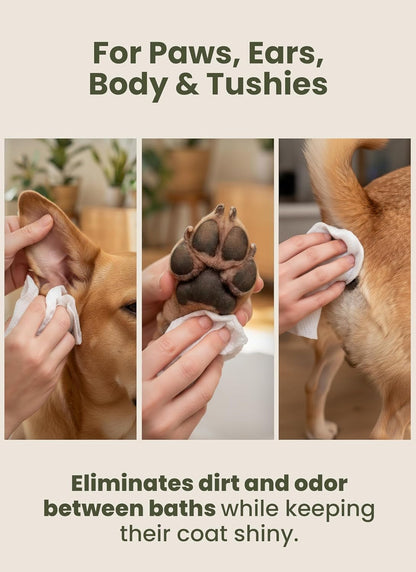 Pogi’S Dog Grooming Wipes – Hypoallergenic Pet Wipes for Paws, Body & Butt – Cleaning & Hydrating, Fragrance Free, 100 Count7