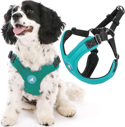 Gooby Escape Free Sport Harness - Red, Medium - No Choke Step-In Patented Neoprene Small Dog Harness with Four-Point Adjustment - Perfect on the Go Dog Harness for Medium Dogs No Pull and Small Dogs9