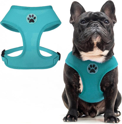 BINGPET Small Dog Harness, No Pull Dog Harness Small Sized Dogs, Soft Light Breathable Mesh Puppy Vest with Safety Buckle-Adjustable Step in Pet Harnesses for Easy Walking, Running, Training15