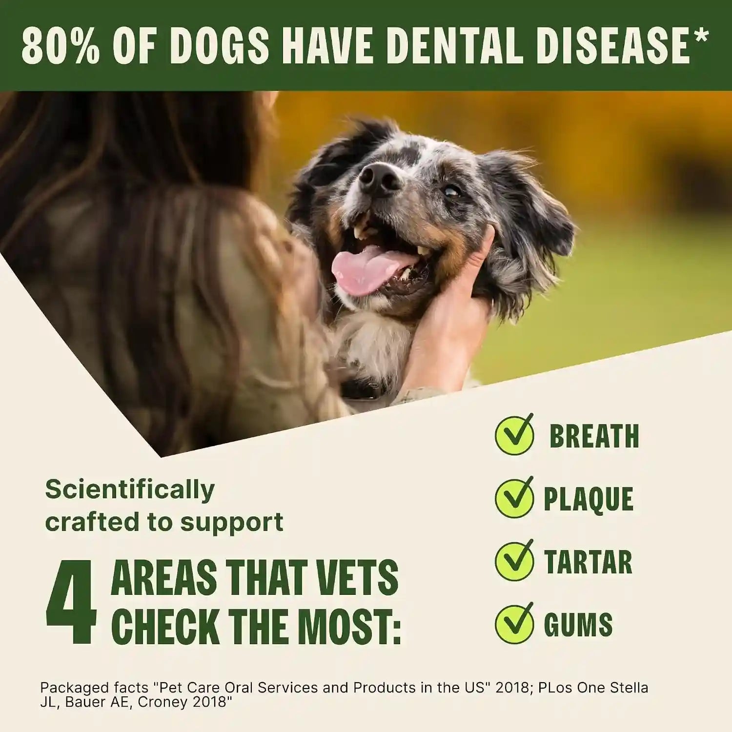 whimzees-wellness-alligator-natural-dog-dental-treat-chews-freshens-breath-small-size-12-7-oz-bag-24-count