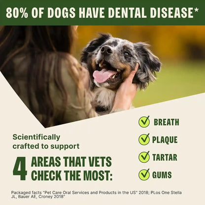Whimzees Wellness Brushzees Natural Dog Dental Treat, VOHC Accepted Chews, Freshens Breath, Extra-Small Size, 12.7 Oz Bag, 48 Count6