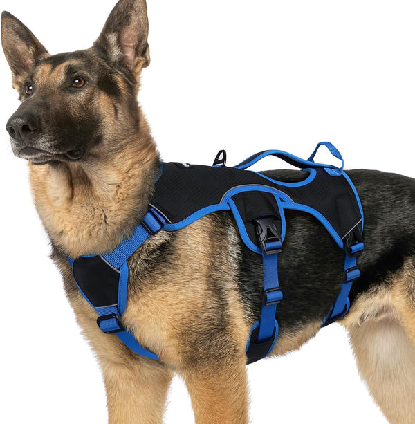 Rabbitgoo Escape Proof Dog Harness for Large, No Pull with Lift Handle | No Escape, Full Soft Padded, Reflective Adjustable Vest, Leash Clip for Walking Hiking Training, Black, Large47