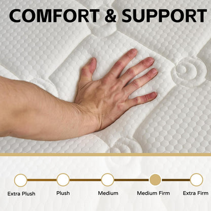 Queen Mattress, 12 Inch Queen Size Mattress in a Box, Memory Foam Medium Firm Hybrid Mattress with Individual Pocket Springs for Back Pain Relief, Motion Isolation, Certipur-Us2