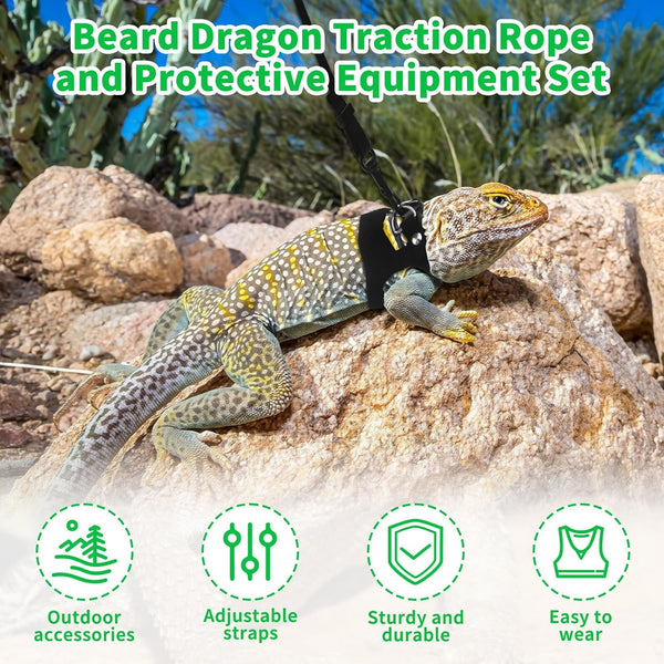 3Size Black Bearded Dragon Leash and Harness Set with Lizard Traction Rope | for Reptile, Lizard Leash/ Squirrel Harness/ Small Rabbit Traction Rope (S, M, L)4