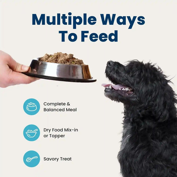 Blue Buffalo Homestyle Recipe Chicken & Vegetable Dinner Paté Natural Wet Dog Food for Senior 7+ Dogs, Made with Natural Ingredients, Vitamins & Minerals, 12.5-Oz. Can (12 Count)9