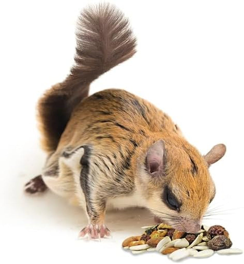 exotic-nutrition-squirrel-complete-1-75-lb-healthy-natural-food-nutritional-diet-for-pet-captive-squirrels-ground-grey-flying-squirrels-chipmunks