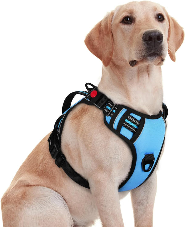 Rabbitgoo Large Dog Harness, Easy Wear with 3 Buckles and Lift Handle | No Pull with Front Clip for Walking, Adjustable Soft Padded, Reflective, Easy Control, Pink, Large22