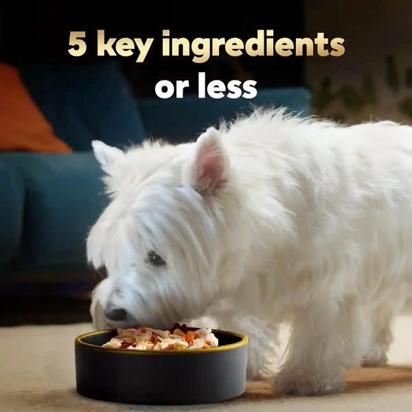 Cesar Simply Crafted Wet Dog Food Toppers, Chicken, 1.3 Oz, 10 Count | Real Chicken #1 Ingredient, No By-Products or Artificial Flavors, Slow-Cooked, Easy to Digest, Single-Serve Tubs3