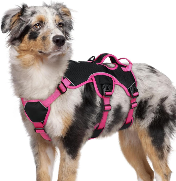 Rabbitgoo Escape Proof Dog Harness for Large, No Pull with Lift Handle | No Escape, Full Soft Padded, Reflective Adjustable Vest, Leash Clip for Walking Hiking Training, Black, Large29