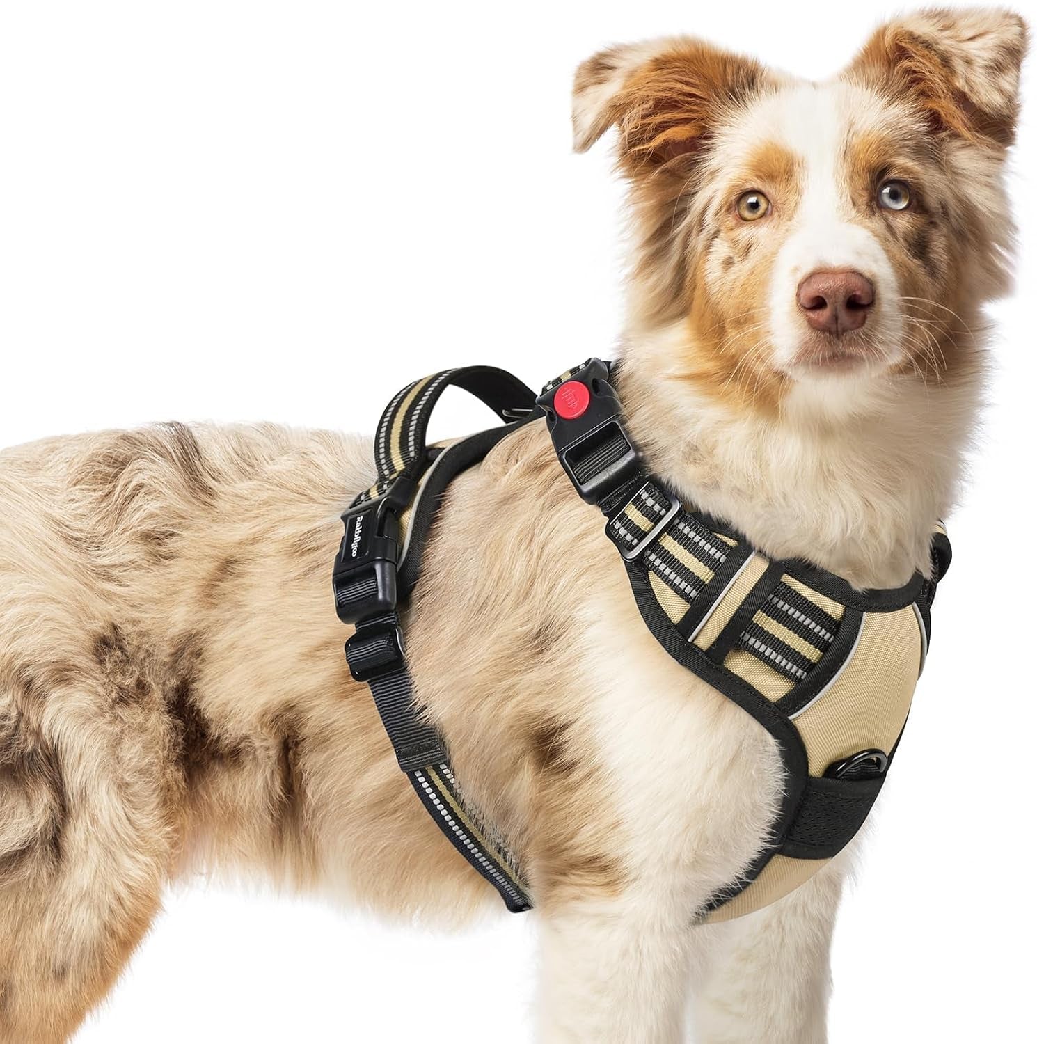 rabbitgoo-dog-harness-medium-sized-updated-easy-on-off-with-3-buckles-no-pull-no-choke-walking-with-2-clips-and-handle-adjustable-soft-reflective-blue-medium