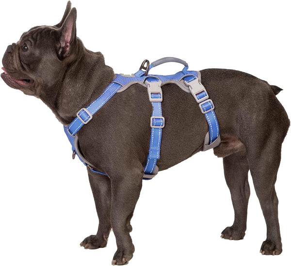 Huntboo Escape Proof Harness, No Slip Dog Harness Escape Proof, Fully Reflective Harness with Handle, Breathable, Durable, Adjustable Vest for Medium Dogs Walking and Training Gear (Black, M)16