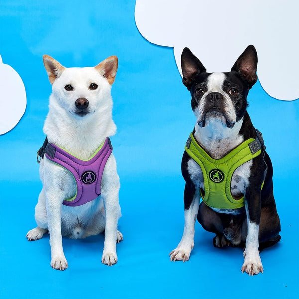 Gooby Escape Free Memory Foam Harness - Green, Large - No Pull Step-In Small Dog Harness with Four Point Adjustment - Perfect on the Go Dog Harness for Medium Dogs No Pull and Small Dogs6