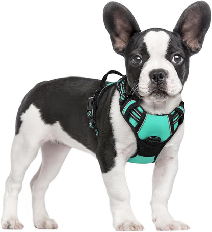 Rabbitgoo Dog Harness, No Pull for Large Dogs with 2 Leash Clips, Pet Vest | No Choke with Handle, Adjustable Soft Padded, Reflective, Easy Control for Walking, Black, Large41