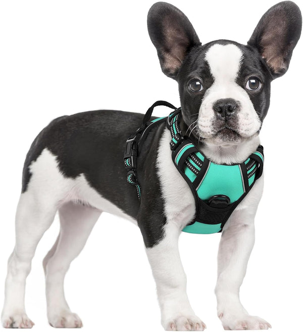 Rabbitgoo Dog Harness, No Pull for Large Dogs with 2 Leash Clips, Pet Vest | No Choke with Handle, Adjustable Soft Padded, Reflective, Easy Control for Walking, Black, Large41