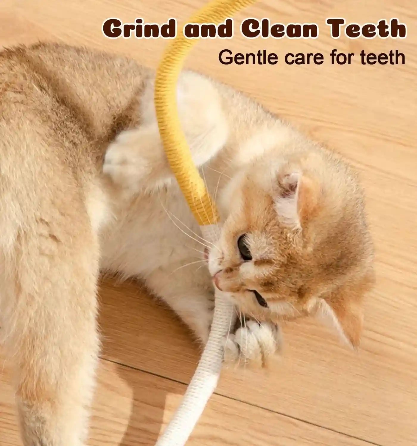 cat-chew-ropes-4pcs-safe-cat-chew-toys-for-indoor-cats-with-catnip-with-gall-fruit-safe-teeth-cleaning-chew-toys-interactive-kitten-nip-toys-for-all-breeds-19-5-inches-boredom-buster