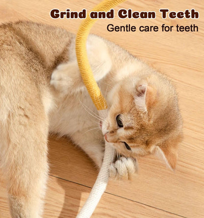 Cat Chew Ropes 4Pcs, Safe Cat Chew Toys for Indoor Cats with Catnip | with Gall Fruit,Safe Teeth Cleaning Chew Toys,Interactive Kitten Nip Toys for All Breeds,19.5 Inches,Boredom Buster4