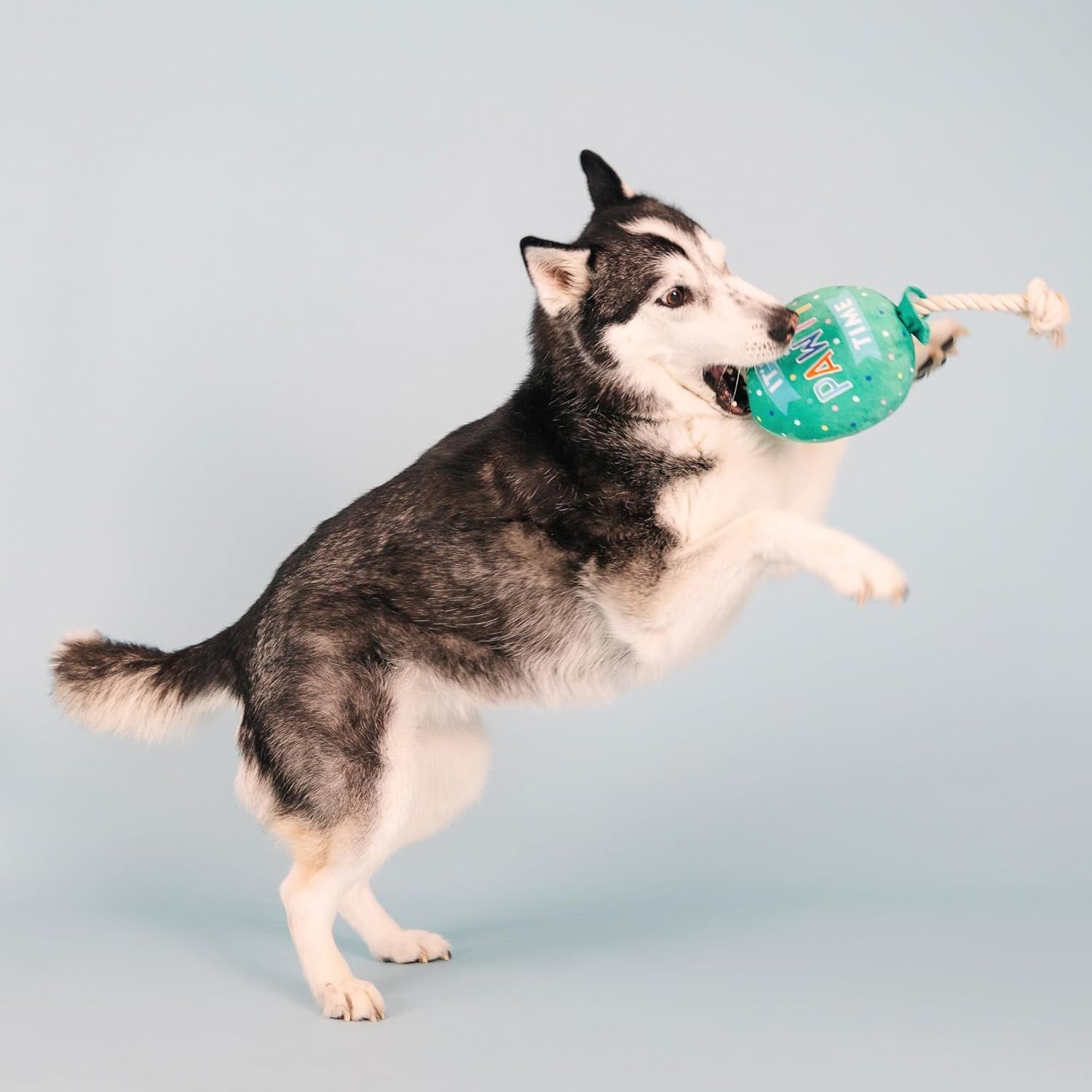 fringe-studio-plush-dog-toy-i-pawty-you-pawty-pet-shop-collection-314210